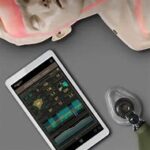 Mannequin de formation Brayden PRO avec application Bluetooth et éclairage LED(rouge)